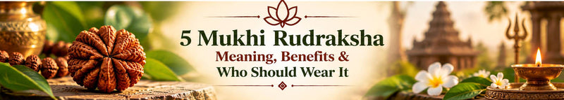 5 Mukhi Rudraksha: Meaning, Who Wears It and Why It Is the Traditional Starting Bead