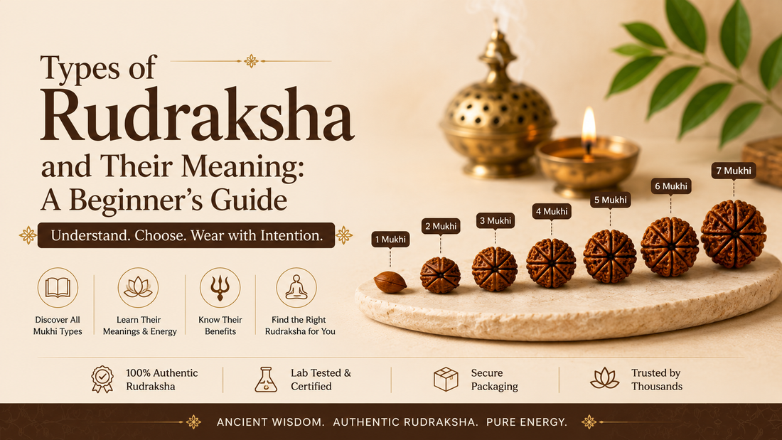 Types of Rudraksha and Their Meaning: A Beginner's Guide