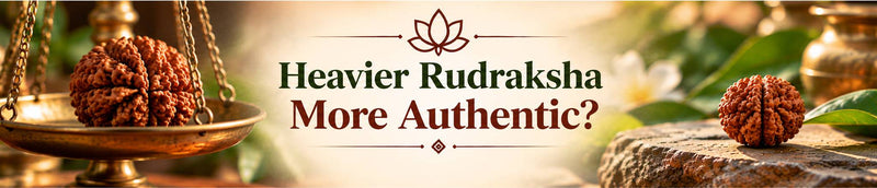 Does a Heavier Rudraksha Bead Mean It's More Authentic?