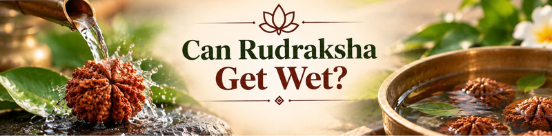 Can Rudraksha Get Wet? What Happens If It Touches Water
