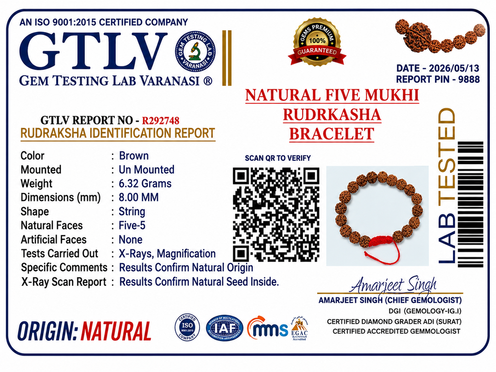 Natural Five Mukhi Rudraksha Bracelet Adjustable White | Premium Spiritual Bracelet