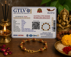 Natural Five Mukhi Rudraksha Bracelet Gold Plated | Premium Spiritual Bracelet