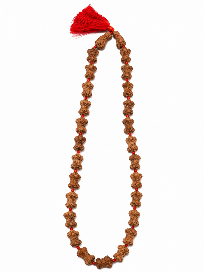 Rare Nepal Damru Rudraksha Mala – 33 Premium Beads | Collector's Edition Authentic Nepal Damru Rudraksha for Spiritual Power, Prosperity & Divine Protection