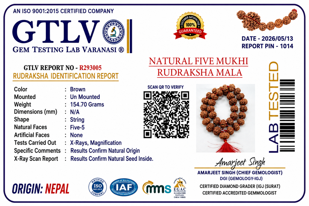 Rare Nepal Flat Rudraksha Mala – 33 Premium Beads | Collector's Edition Authentic Nepal Rudraksha for Spiritual Power & Devotional Wear