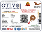 Five Mukhi Rudraksha Mala White 5MM | Natural 108 Beads Japa Mala for Meditation, Prayer & Spiritual Growth