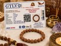 Natural Five Mukhi Rudraksha Bracelet 7MM Elastic White | Spiritual Bracelet for Peace & Focus