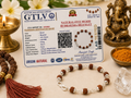 Natural 5 Mukhi Rudraksha Bracelet 6MM with Premium Caps | Peace, Focus & Positive Energy | Rudriva