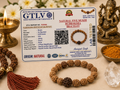 Natural Five Mukhi Rudraksha Bracelet with Premium Big Rudraksha Bead | White Elastic Bracelet