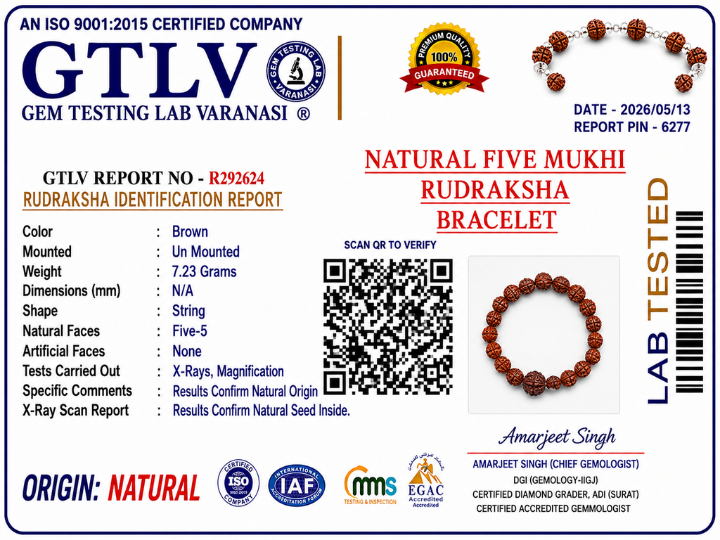 Natural Five Mukhi Rudraksha Bracelet with Premium Big Rudraksha Bead | Brown Elastic Bracelet