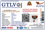 Natural 1 Mukhi Rudraksha Locket for Spiritual Growth, Clarity & Divine Energy | Authentic & Energized | Rudriva