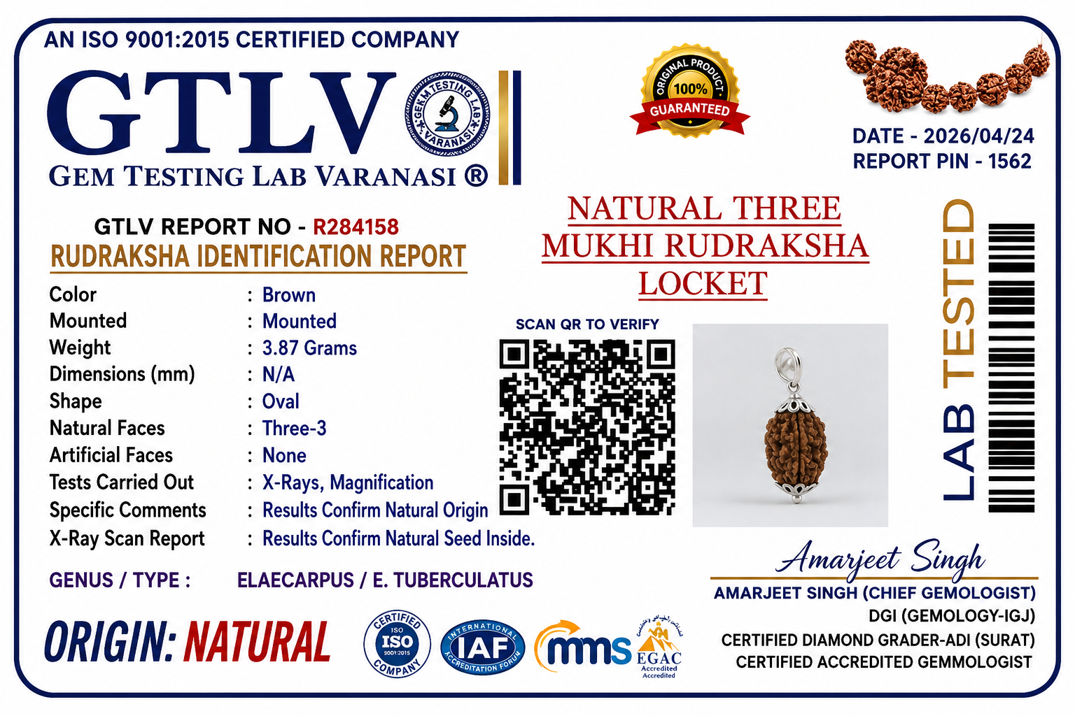 Natural 3 Mukhi Rudraksha Locket for Confidence, Positivity & Inner Strength | Authentic & Energized | Rudriva