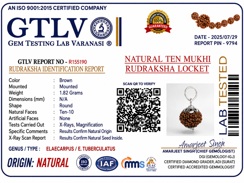 Natural 10 Mukhi Rudraksha Indonesia | Authentic Indonesian Dashamukhi Rudraksha Pendant for Protection, Peace and Spiritual Growth