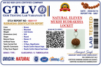 Natural 11 Mukhi Rudraksha Locket for Courage, Protection & Spiritual Strength | Authentic & Energized | Rudriva