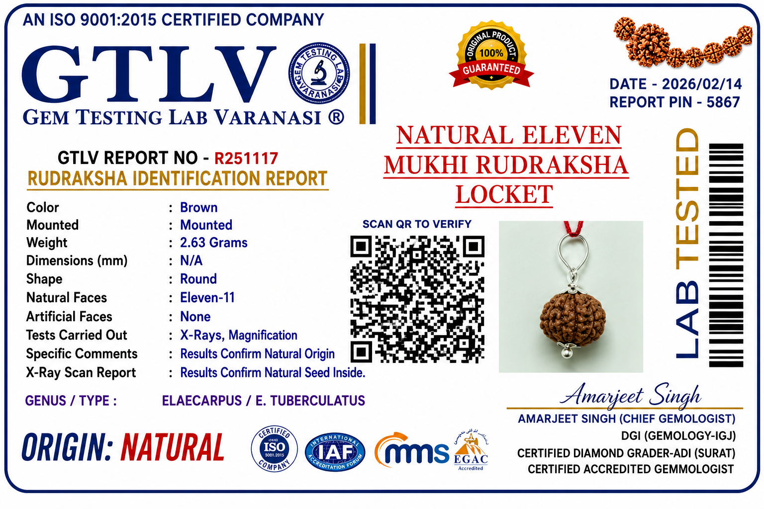 Natural 11 Mukhi Rudraksha Locket for Courage, Protection & Spiritual Strength | Authentic & Energized | Rudriva