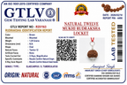 Natural 12 Mukhi Rudraksha Locket for Leadership, Confidence & Positive Energy | Authentic & Energized | Rudriva