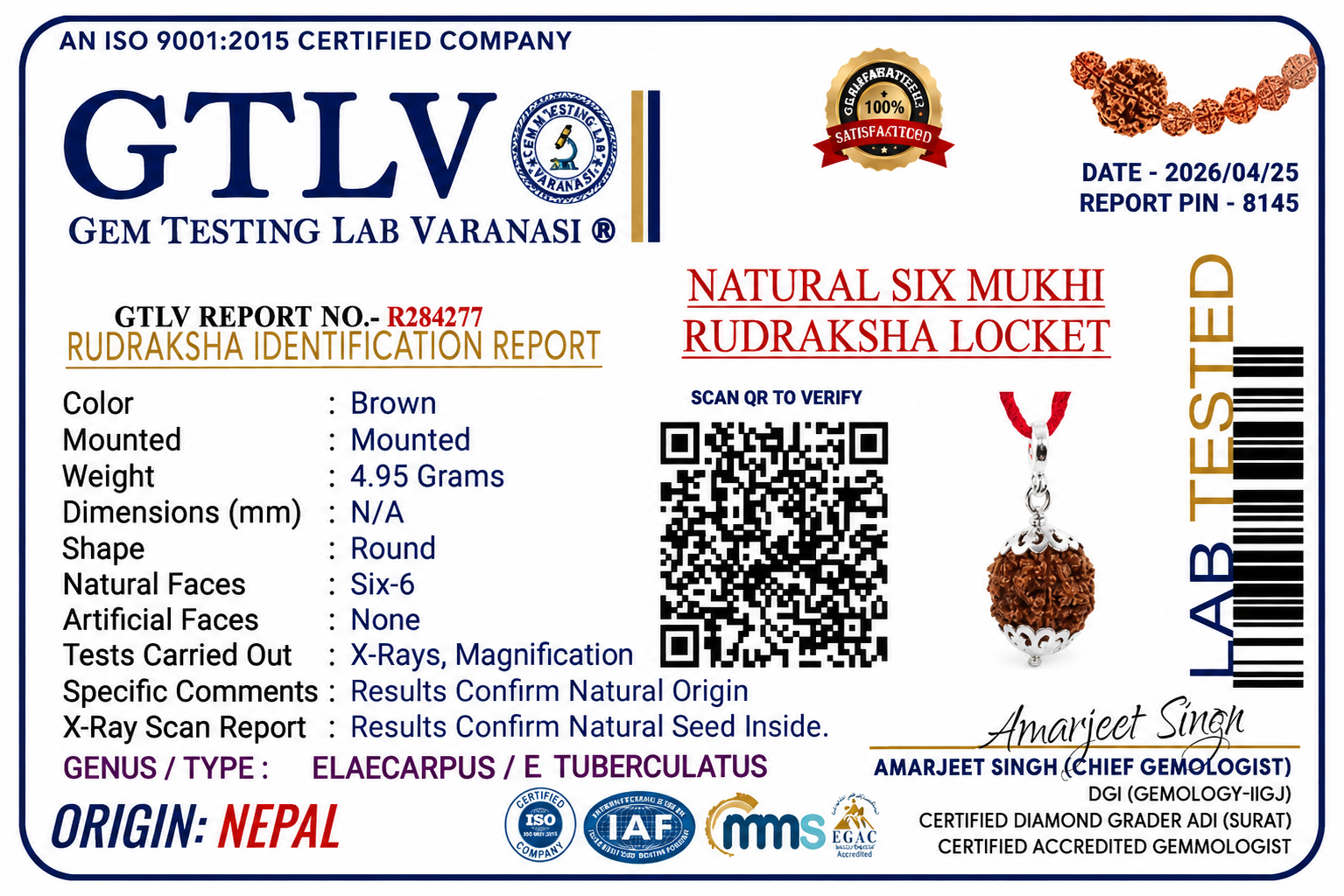 Nepali 6 Mukhi Rudraksha Locket for Confidence, Focus & Emotional Balance | Authentic & Energized | Rudriva