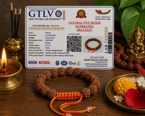 Natural Five Mukhi Rudraksha Bracelet Adjustable White | Premium Spiritual Bracelet