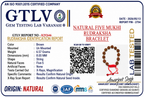 Natural Five Mukhi Rudraksha Bracelet Adjustable | Spiritual Bracelet for Peace & Positive Energy