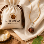 Nepali 6 Mukhi Rudraksha Locket for Confidence, Focus & Emotional Balance | Authentic & Energized | Rudriva