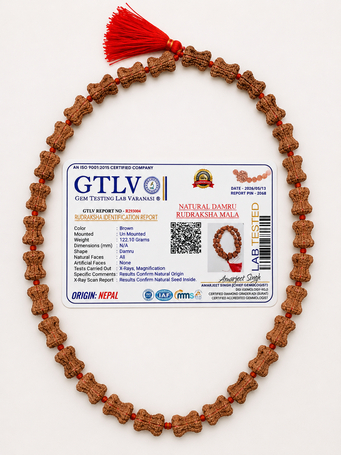 Rare Nepal Damru Rudraksha Mala – 33 Premium Beads | Collector's Edition Authentic Nepal Damru Rudraksha for Spiritual Power, Prosperity & Divine Protection
