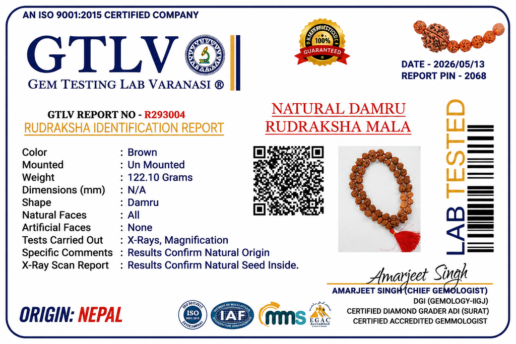 Rare Nepal Damru Rudraksha Mala – 33 Premium Beads | Collector's Edition Authentic Nepal Damru Rudraksha for Spiritual Power, Prosperity & Divine Protection
