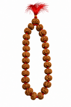 Rare Nepal Flat Rudraksha Mala – 33 Premium Beads | Collector's Edition Authentic Nepal Rudraksha for Spiritual Power & Devotional Wear
