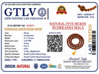 Five Mukhi Rudraksha Mala Brown | Natural 108 Beads Japa Mala for Meditation, Prayer & Spiritual Wellness