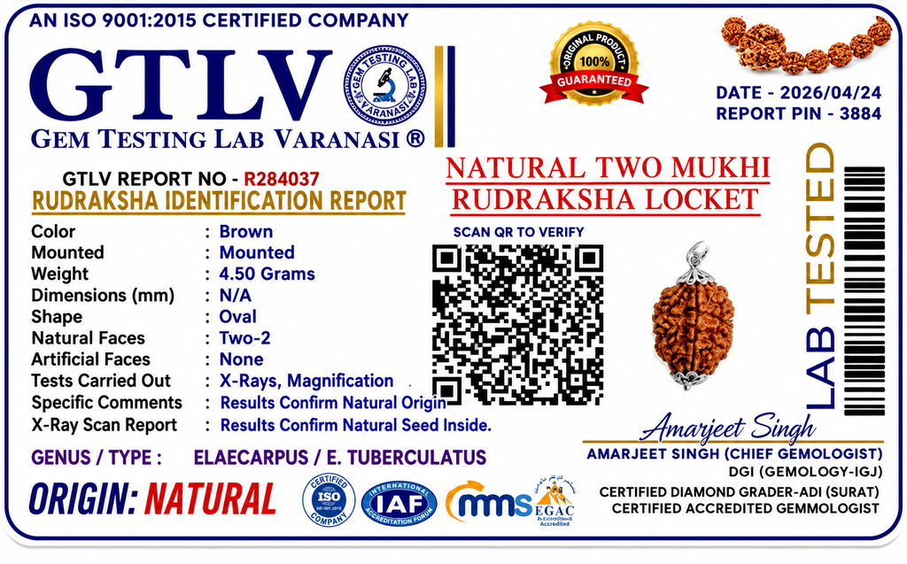 Rudriva Natural 2 Mukhi Rudraksha Locket Pendant | Original & Energized Rudraksha for Love, Relationship Harmony, Emotional Balance & Peace | Unisex