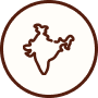 Roots from Varanasi