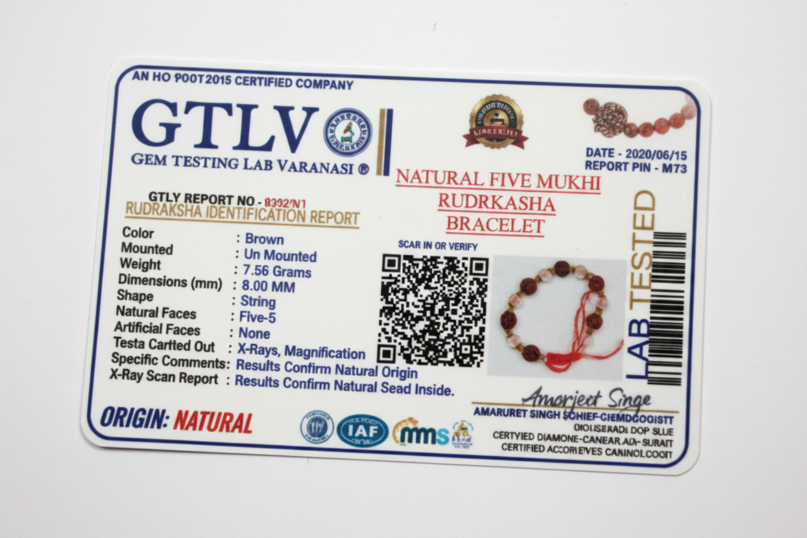 Natural Five Mukhi Rudraksha & Crystal Glass Bracelet | Adjustable Spiritual Bracelet for Protection, Positivity & Daily Wear