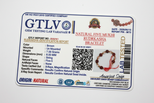 Natural Five Mukhi Rudraksha & Crystal Glass Bracelet | Adjustable Spiritual Bracelet for Protection, Positivity & Daily Wear