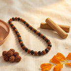 Karungali Rudraksha Mala | Sacred Karungali Wood & Rudraksha 108 Beads Mala for Protection, Meditation and Spiritual Growth