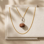 Natural 7 Mukhi Rudraksha Locket for Wealth, Career Growth & Positive Energy | Authentic & Energized | Rudriva