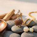 Natural 12 Mukhi Rudraksha Locket for Leadership, Confidence & Positive Energy | Authentic & Energized | Rudriva