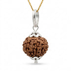 Natural 7 Mukhi Rudraksha Locket for Wealth, Career Growth & Positive Energy | Authentic & Energized | Rudriva