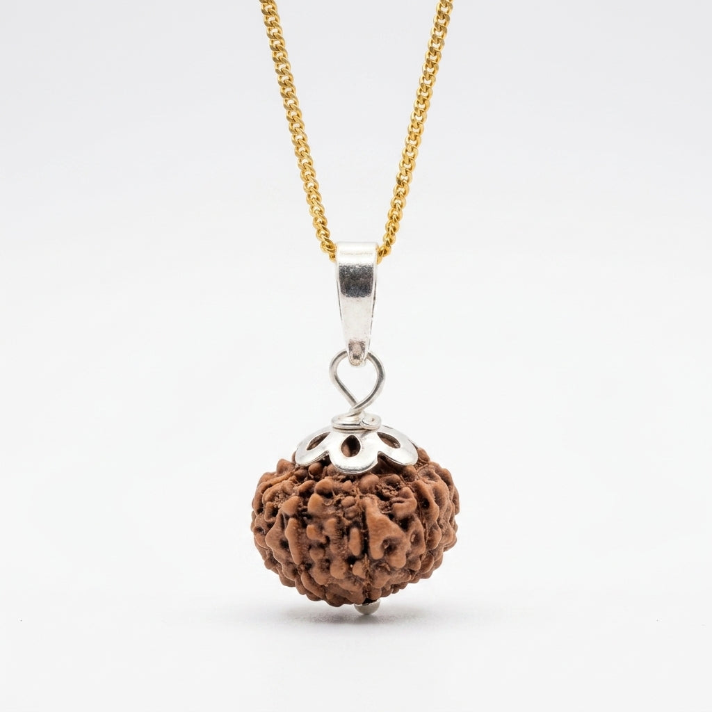 Natural 10 Mukhi Rudraksha Indonesia | Authentic Indonesian Dashamukhi Rudraksha Pendant for Protection, Peace and Spiritual Growth