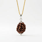 Natural 3 Mukhi Rudraksha Locket for Confidence, Positivity & Inner Strength | Authentic & Energized | Rudriva