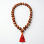 Rare Nepal Flat Rudraksha Mala – 33 Premium Beads | Collector's Edition Authentic Nepal Rudraksha for Spiritual Power & Devotional Wear