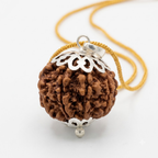7 Mukhi Nepali Rudraksha - Saat Mukhi | Authentic & Energized | Rudriva